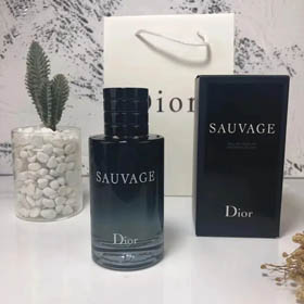 Dior Parfume (стиль 30+)  